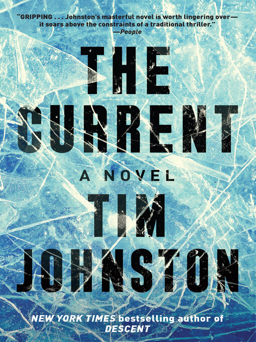 Title details for The Current by Tim Johnston - Wait list